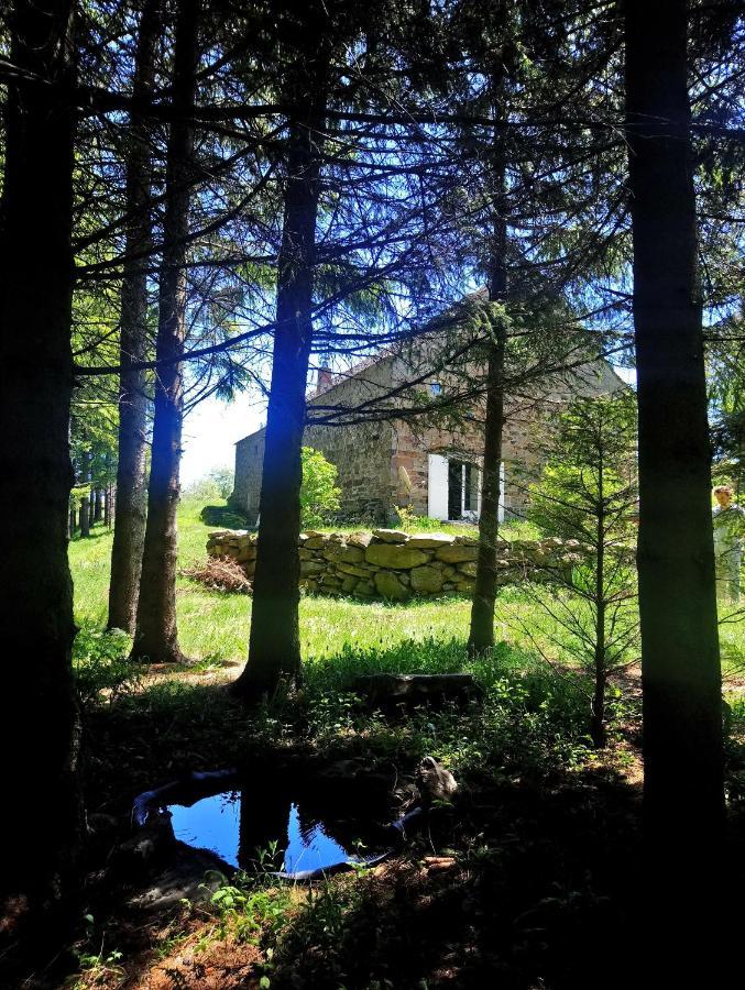 La Ferme Du Crie Bed and Breakfast Chaudeyrolles Buitenkant foto